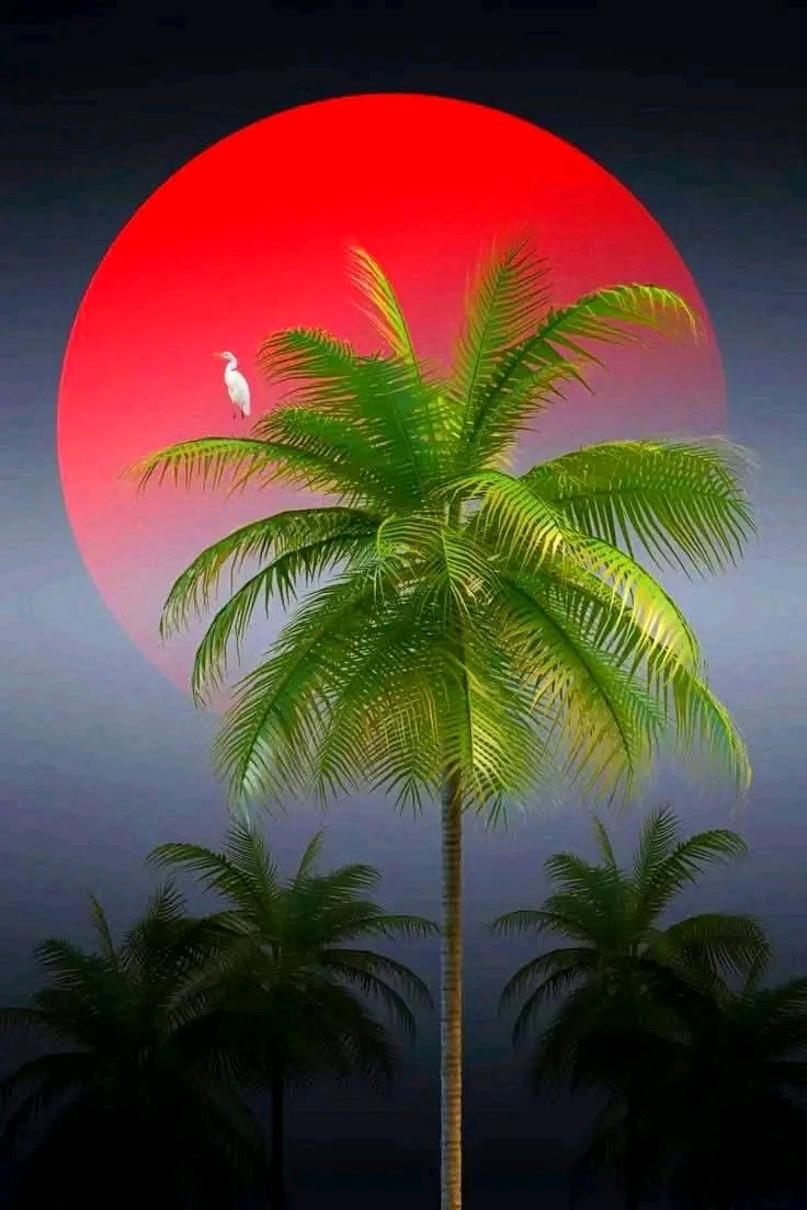 বাংলার রুপ