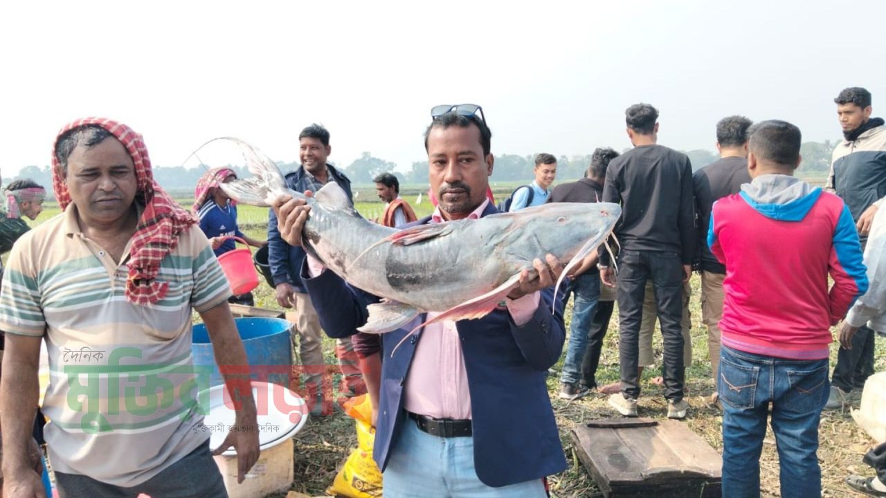 কালীগঞ্জ আড়াইশ বছরের পুরনো জামাই মেলাকে নিয়ে আনন্দ-উৎসব