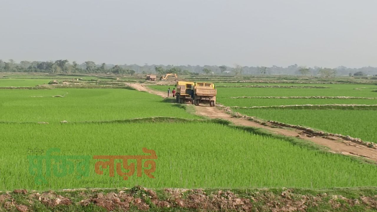 শান্তিগঞ্জে প্রভাবশালীদের দাপটে চলছে মাটি চুরি