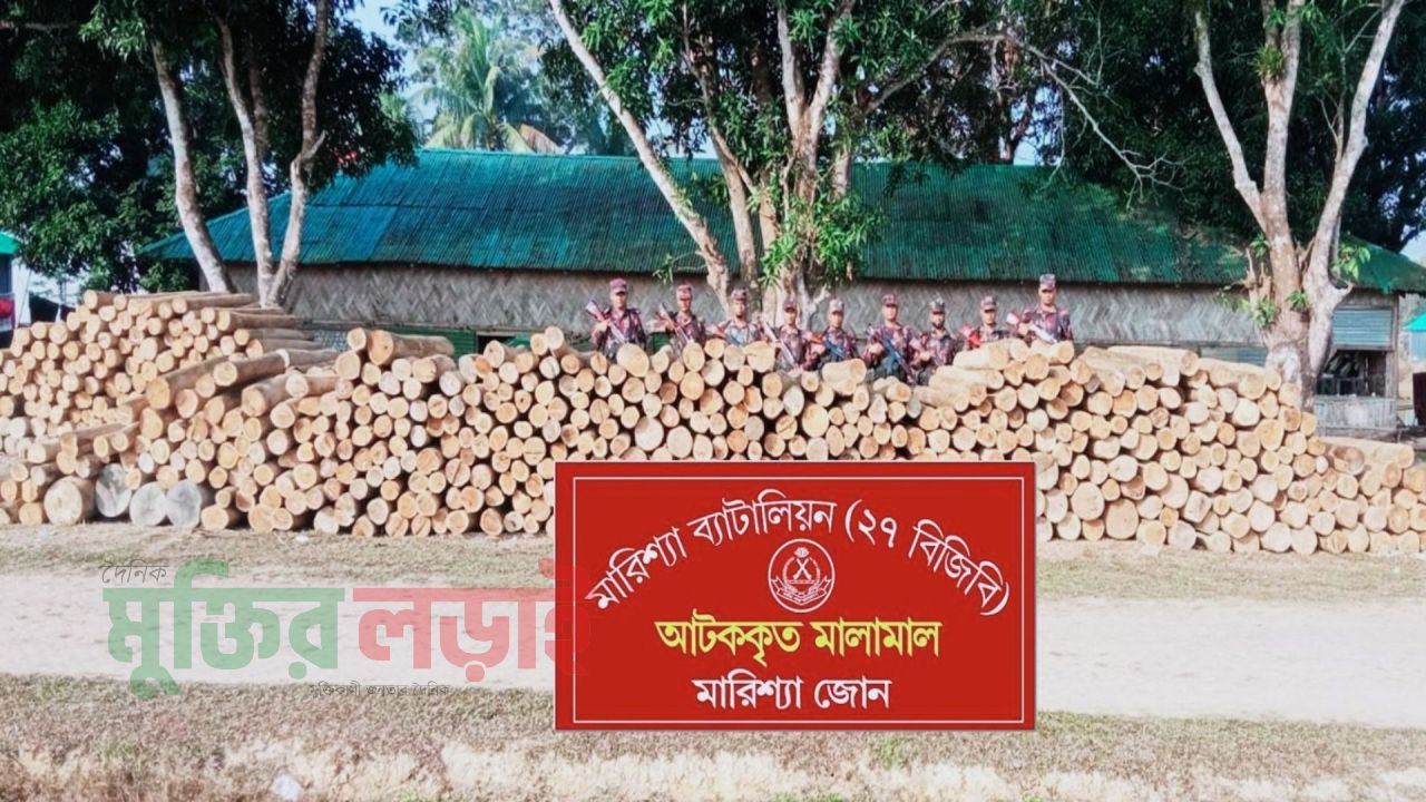 বিজিবির অভিযানে অবৈধ সেগুন কাঠ জব্দ 