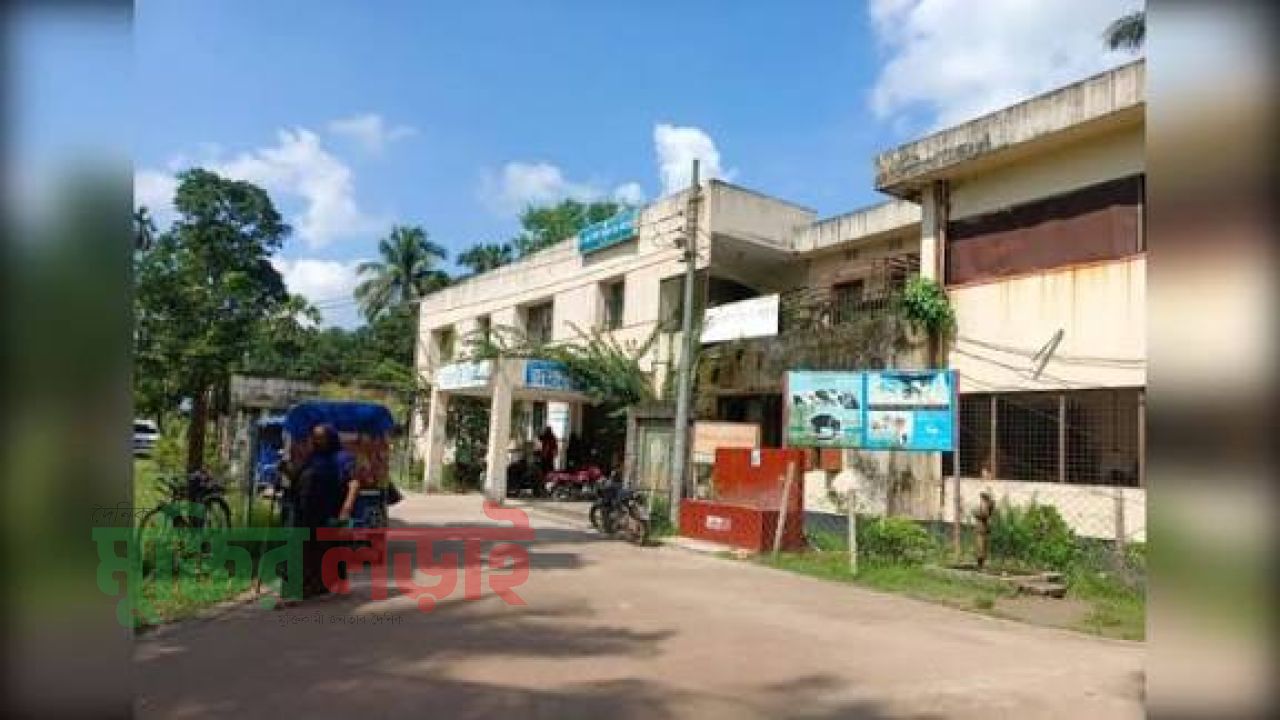 কচুয়ায় সিলিন্ডার গ্যাস সিলিন্ডার বিস্ফোরণে দগ্ধ ৩