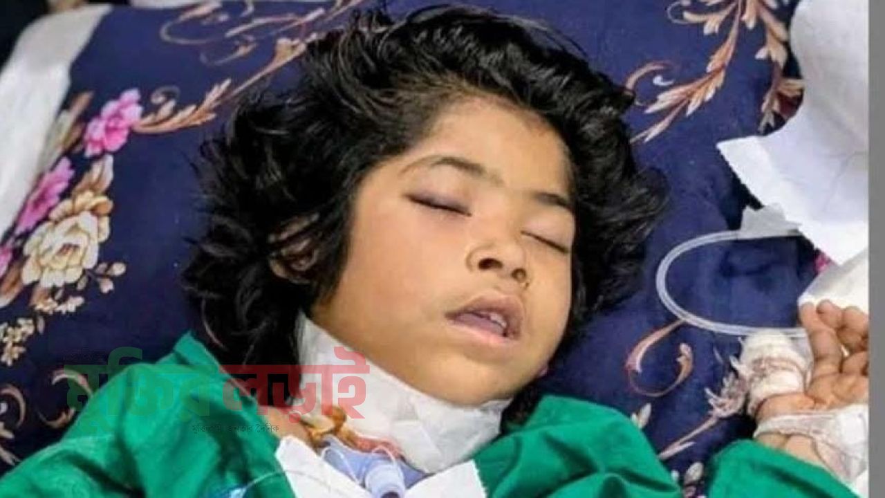 গলাকাটা অবস্থায় ইকোপার্কে হাঁটতে থাকা শিশুর মৃত্যু