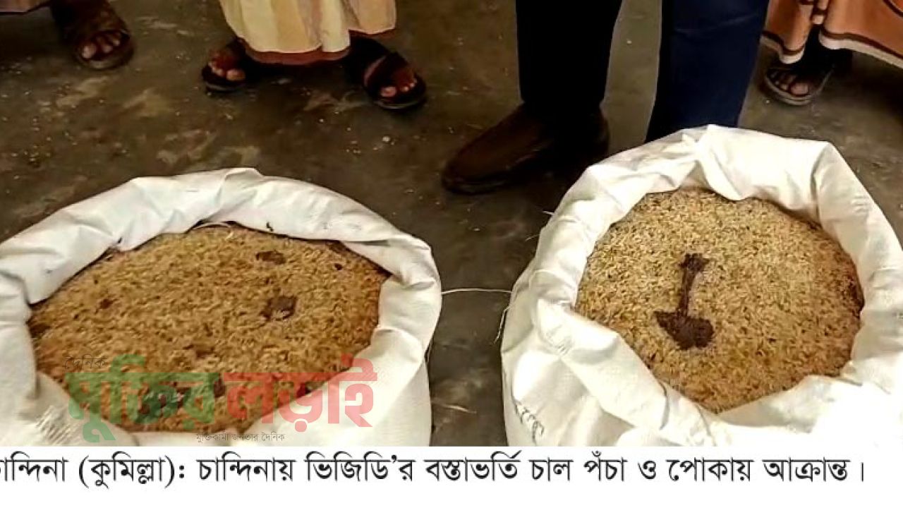চান্দিনায় ভিজিডির পঁচা চাল বিতরণ নিয়ে কর্তৃপক্ষের অসংলগ্ন মন্তব্য