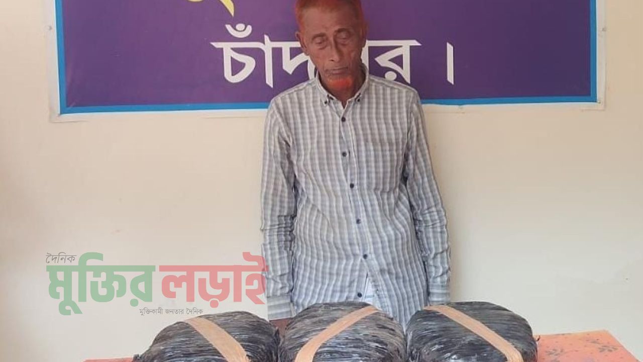 কচুয়ায় বিপুল পরিমাণ গাঁজাসহ মাদক ব্যবসায়ী গ্রেপ্তার