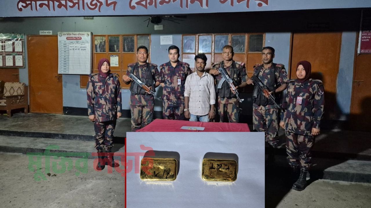 চাঁপাইনবাবগঞ্জ সোনামসজিদ আইসিপিতে ২৩১.৮১ গ্রাম স্বর্ণসহ আটক ১