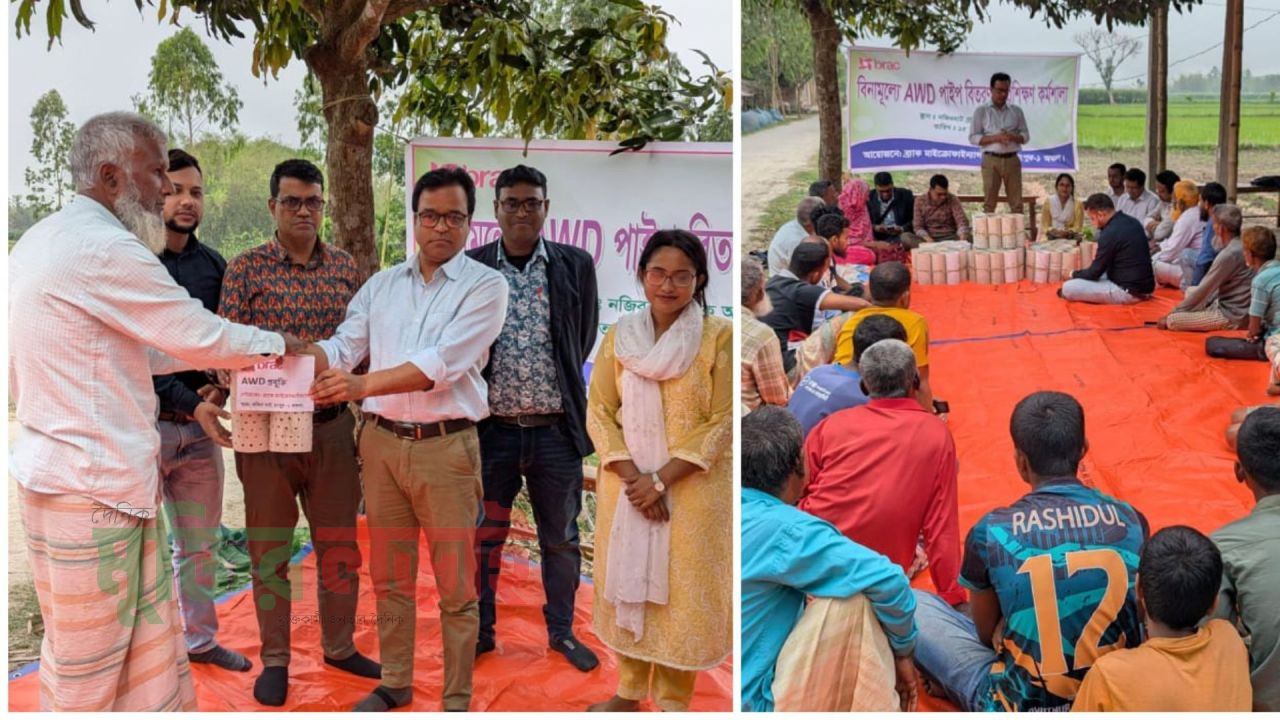 নজিরহাট ব্রাক এর উদ্যোগে বিনামূল্যে এডব্লিডি পাইপ বিতরণ ও প্রশিক্ষণ অনুষ্ঠিত 