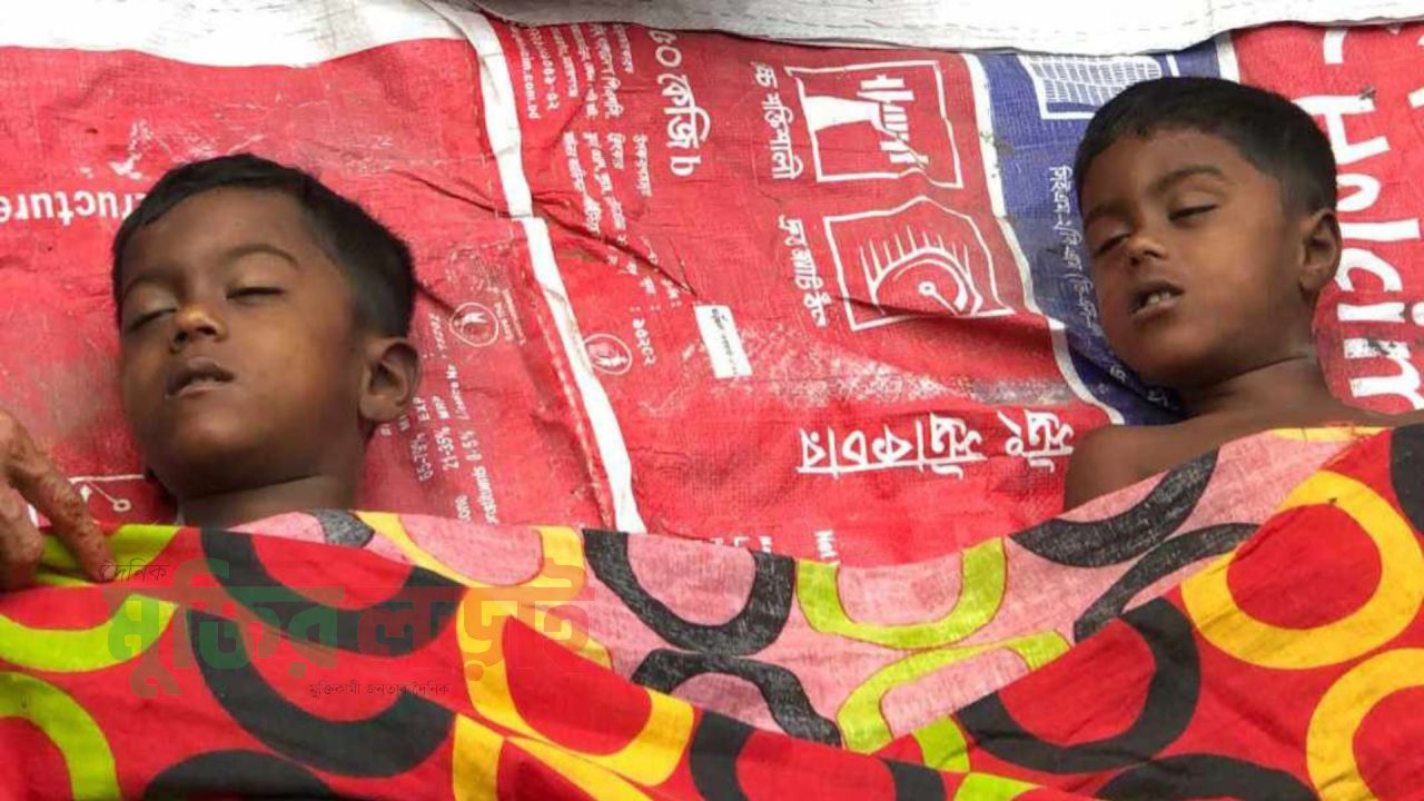 নানার বাড়ি বেড়াতে এসে পানিতে ডুবে জমজ দুই শিশুর মৃত্যু