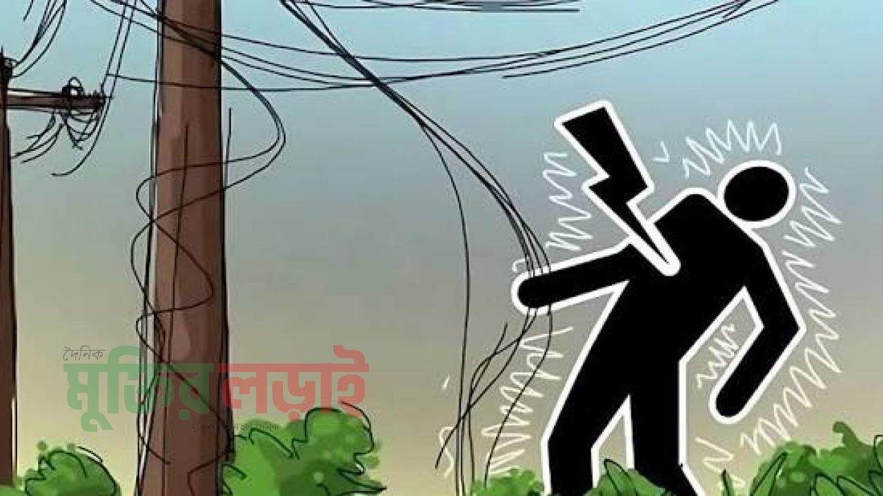 চান্দিনায় বিদ্যুৎ স্পৃষ্টে ইলেকট্রিশিয়ানের মৃত্যু