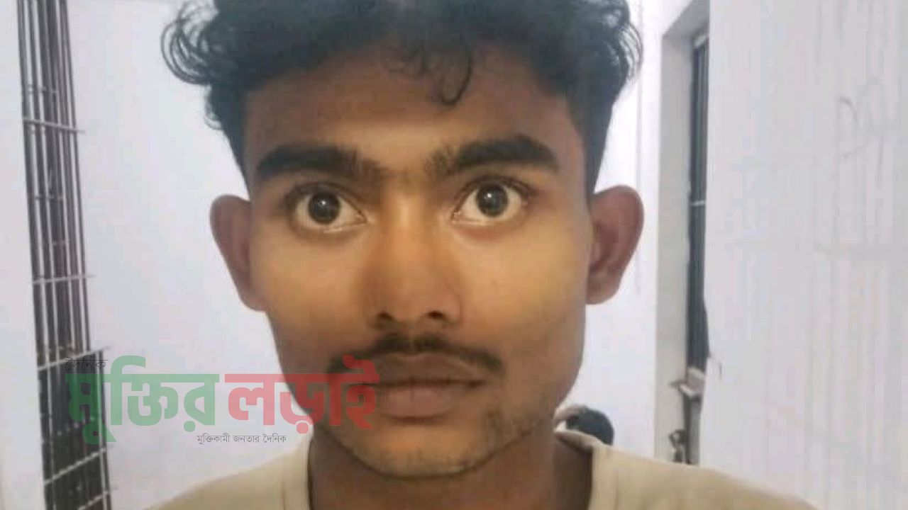 শৈলকুপায় গাঁজাসহ যুবক গ্রেপ্তার