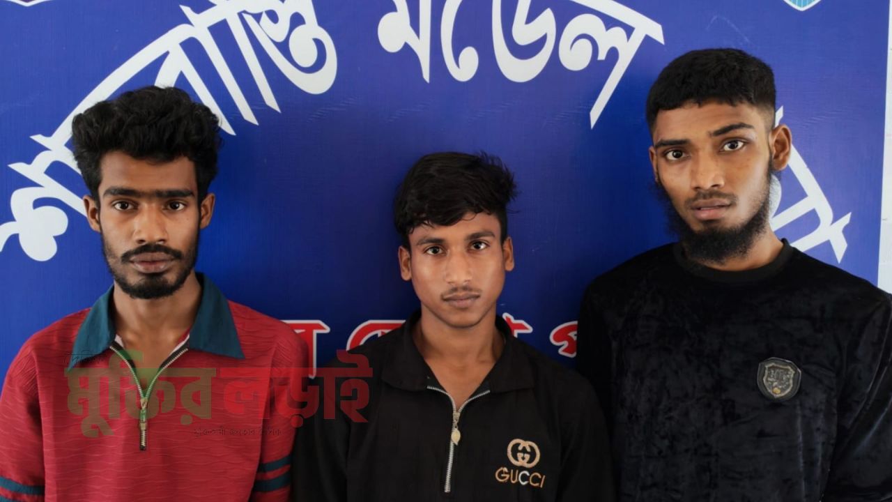 শাহরাস্তিতে ডাকাতির প্রস্তুতিকালে আটক ৩ 