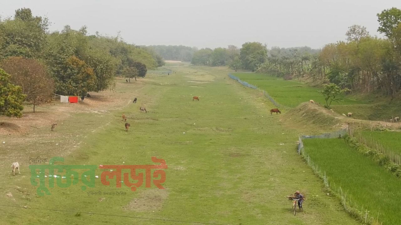 এদখল, দুষণ আর খননের অভাবে ঝিনাইদহের ১২ টি নদ-নদী এখন মরা খাল