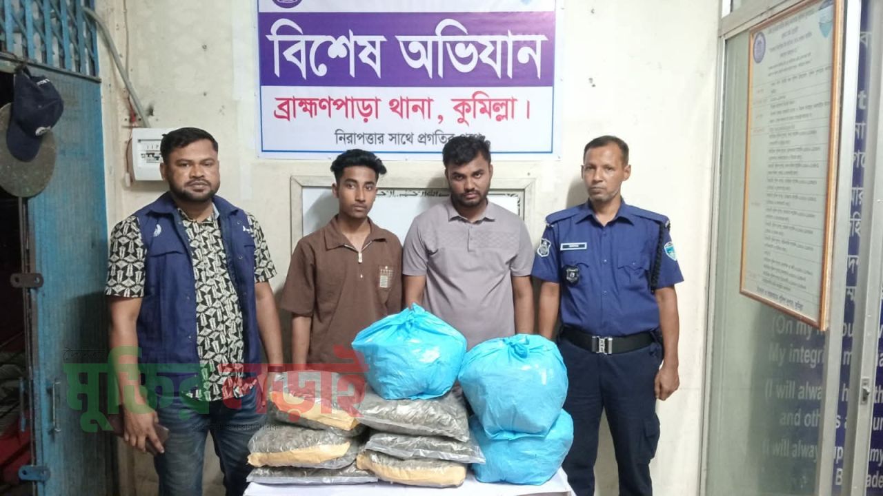 ব্রাহ্মণপাড়ায় ১২ কেজি গাঁজাসহ গ্রেপ্তার ২