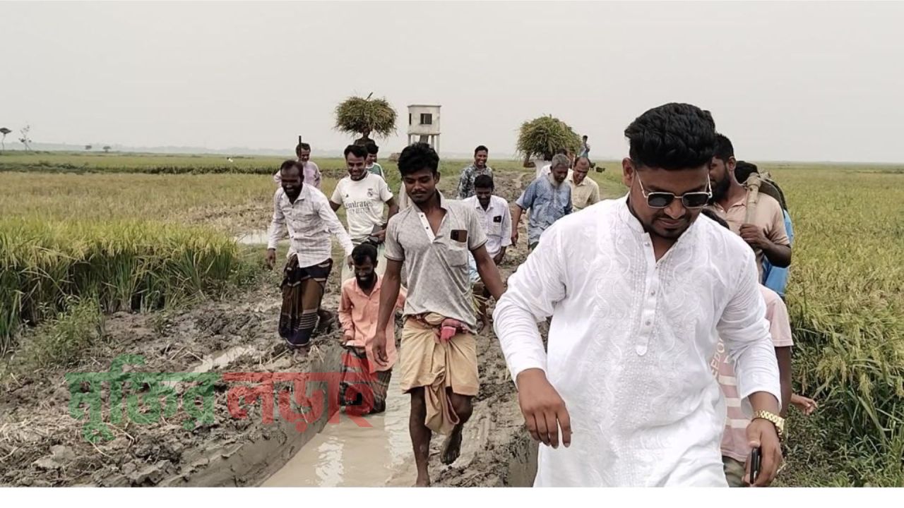 কটিয়াদীতে সংস্কারের অভাবে সড়কের বেহাল অবস্থা 