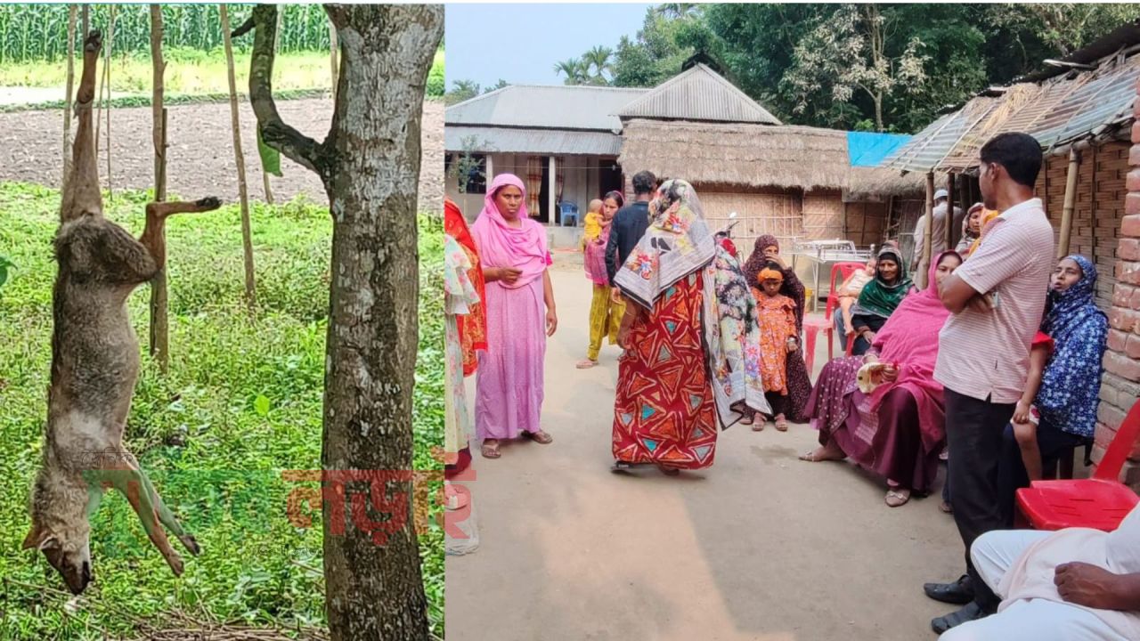 বালিয়াডাঙ্গীতে শেয়ালের কামড়ে নারীর মৃত্যু, গ্রামজুড়ে আতঙ্ক