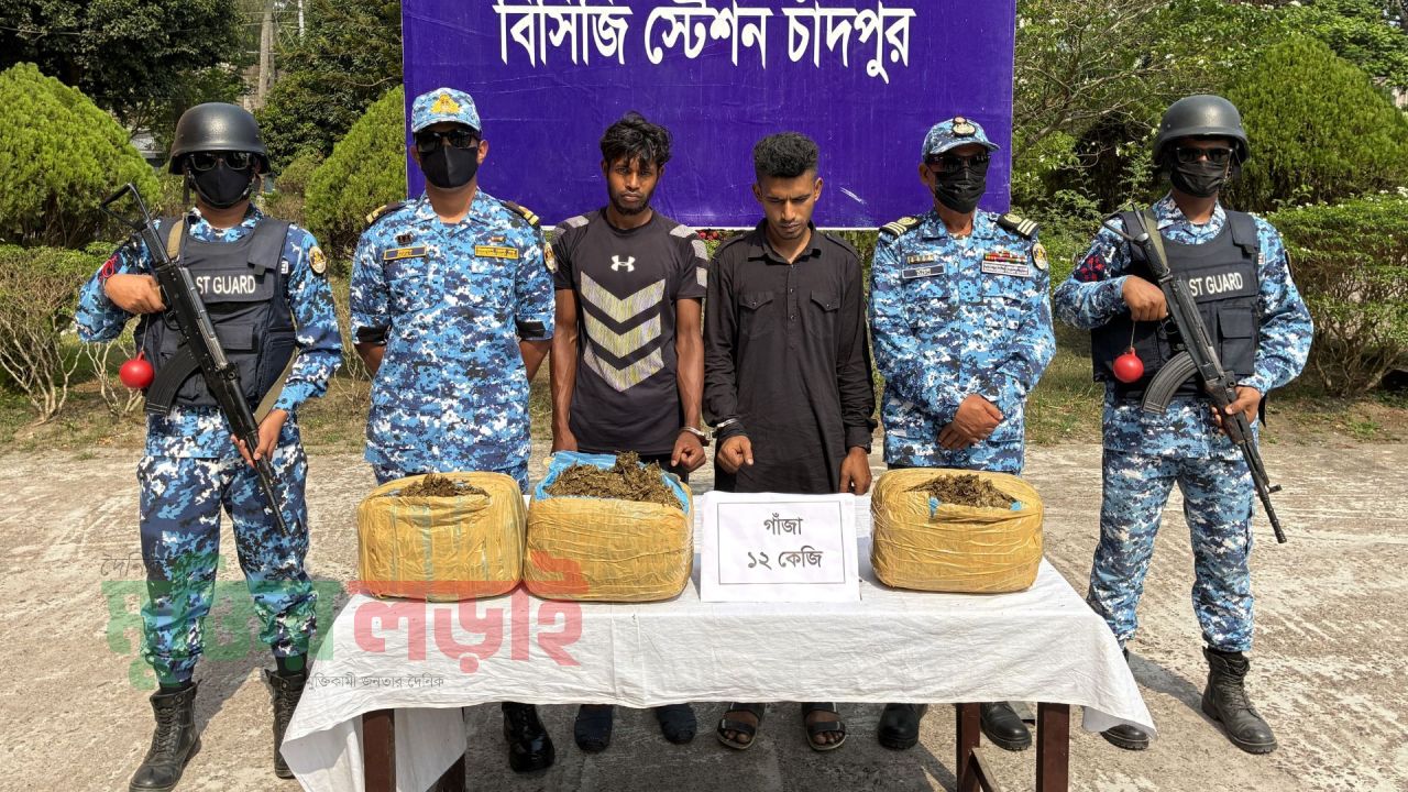 চাঁদপুরে ১২ কেজি গাঁজাসহ ২ মাদক কারবারি আটক