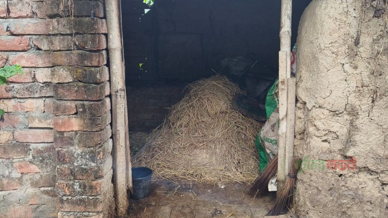 রাণীনগর রাতের আঁধারে গোয়াল ঘররের তালা কটে ৪টি গরু চুরি