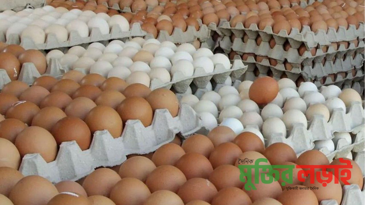 প্রতিদিন ডিমের দাম উর্ধ্বমূখী, দেখার কেউ নেই