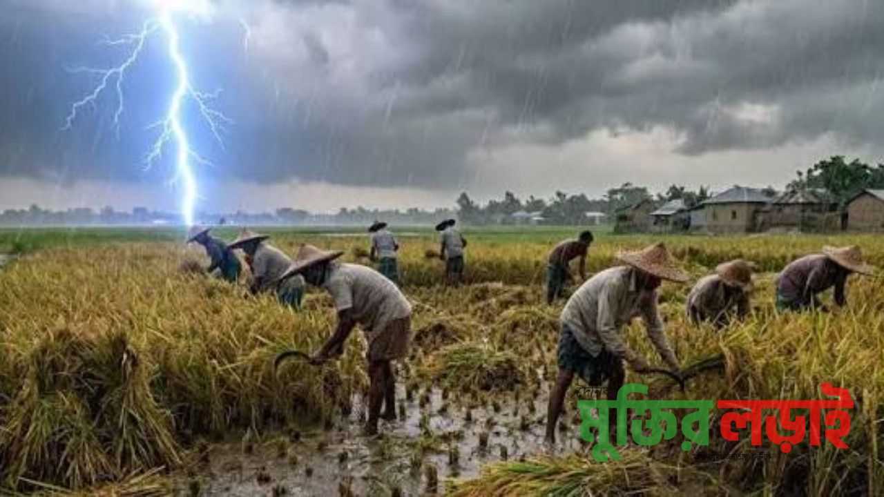 রানীনগরে ধান কাটার সময় বজ্রপাতে দুই যুবকের মৃত্যু 
