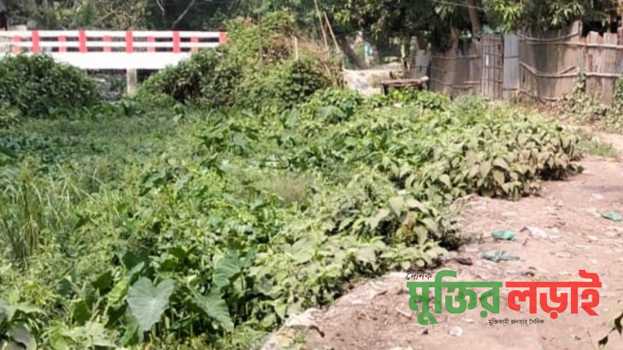 বরুড়া পৌরসদরের খালপাড়ে বেহাল রাস্তা, জনদুর্ভোগে ৫০ পরিবার