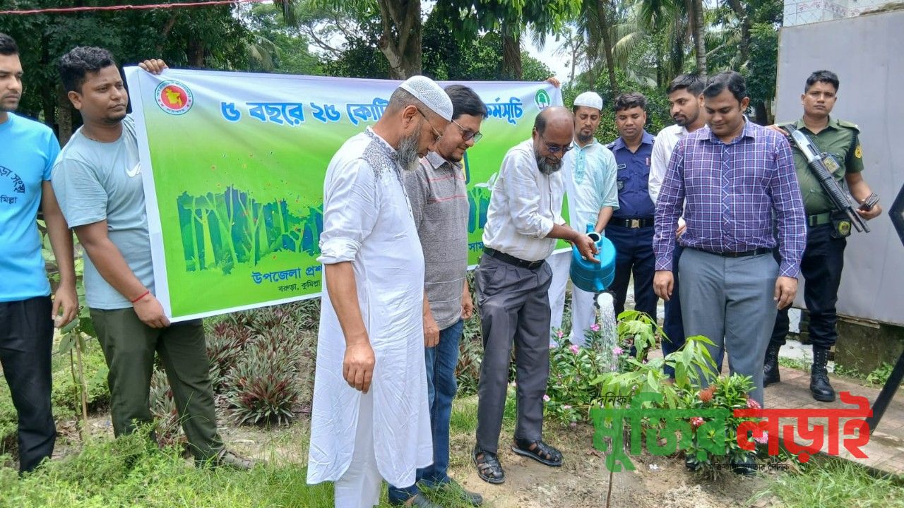 বরুড়ায় প্রধানমন্ত্রী ঘোষিত বৃক্ষরোপণ কর্মসূচির শুভ উদ্বোধন 