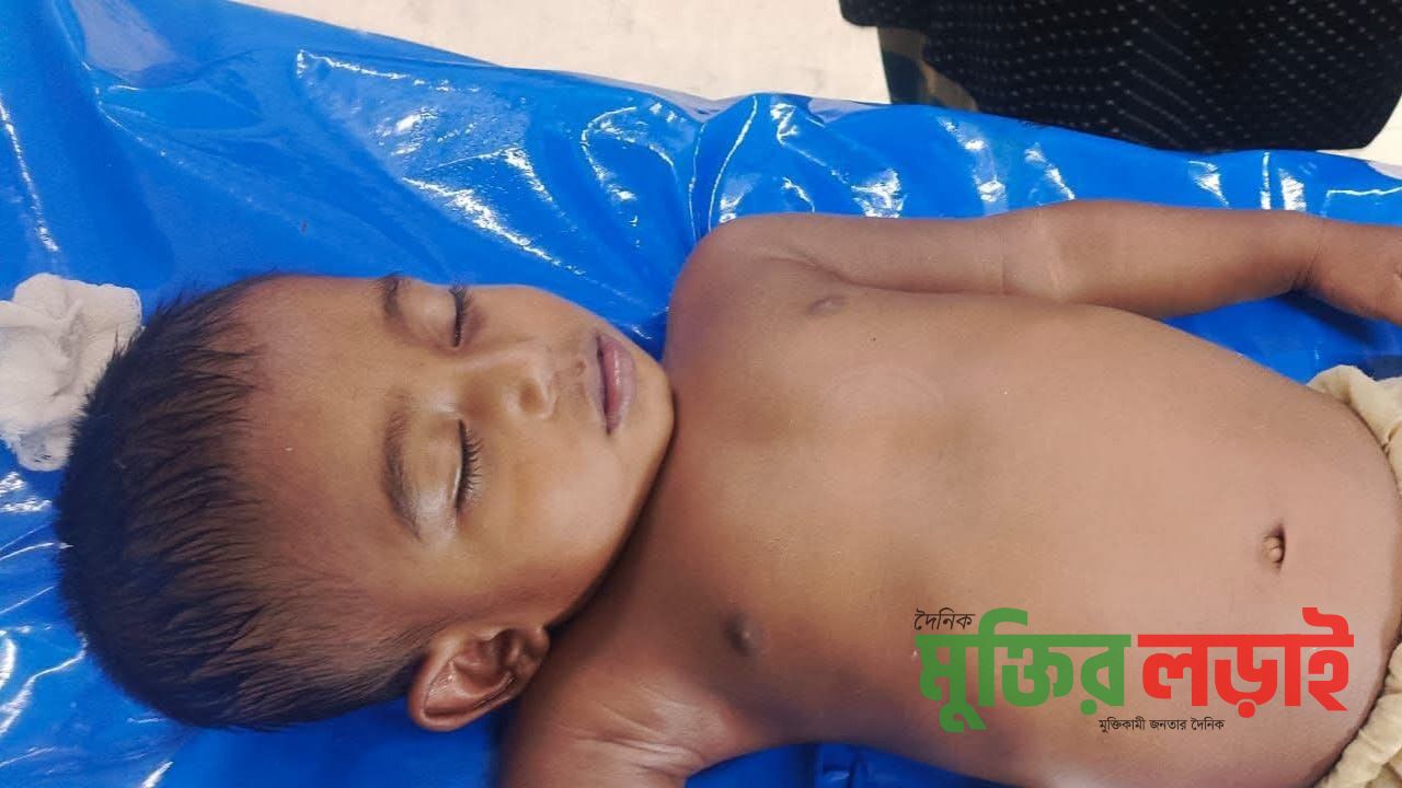 বরুড়ায় পুকুরের পানিতে ডুবে দেড় বছর বয়সী শিশুর মৃত্য