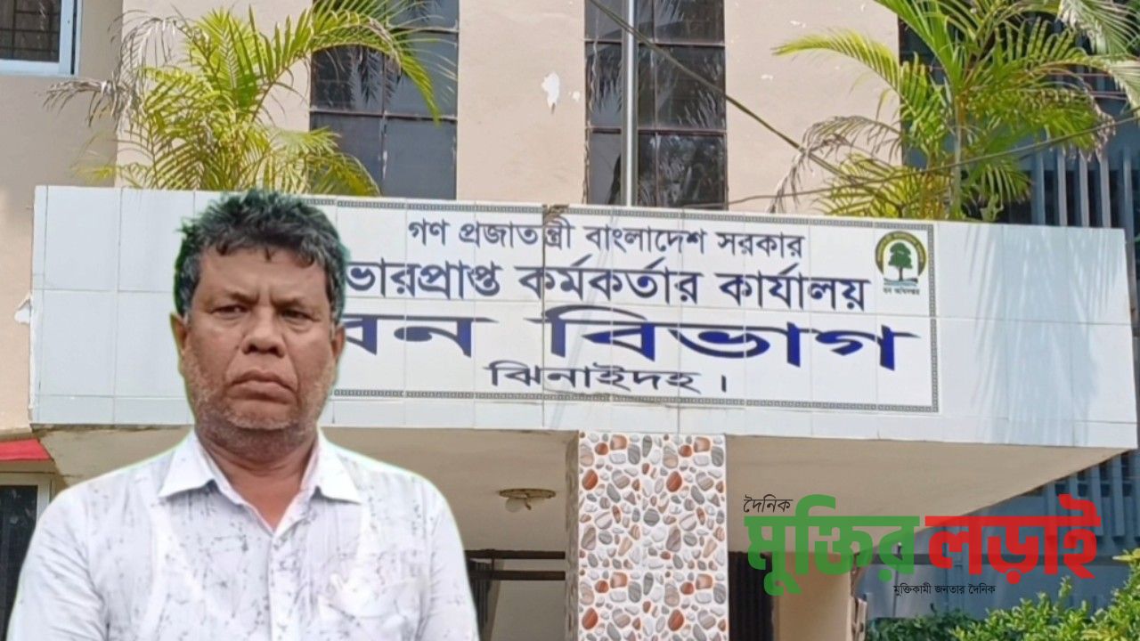  বন বিভাগের টিপি পাশের নামে চলছে রমরমা চাঁদাবাজি