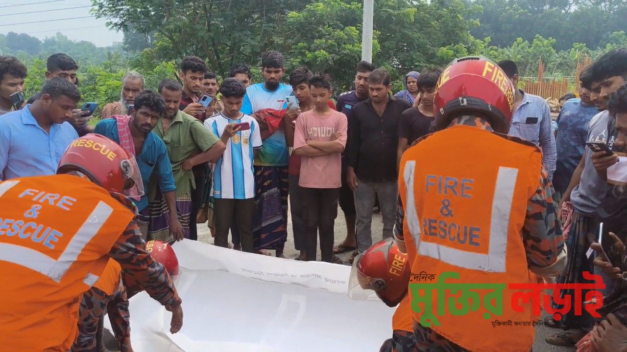শৈলকুপায় বাস চাপায় ট্রাক চালক নিহত