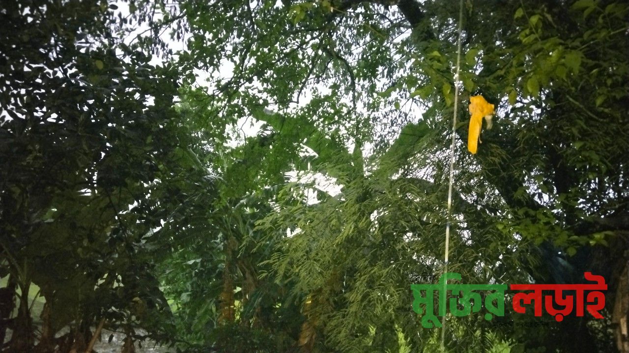 কটিয়াদীতে আকস্মিক বজ্রপাত, এলাকায় আতঙ্ক