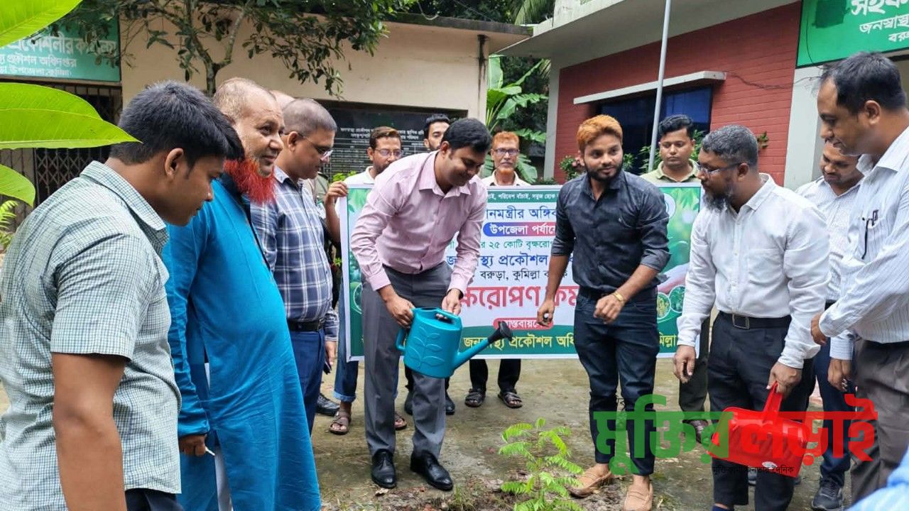 বরুড়ায় জনস্বাস্থ্য প্রকৌশল অধিদপ্তরের বৃক্ষ রোপন কর্মসূচী