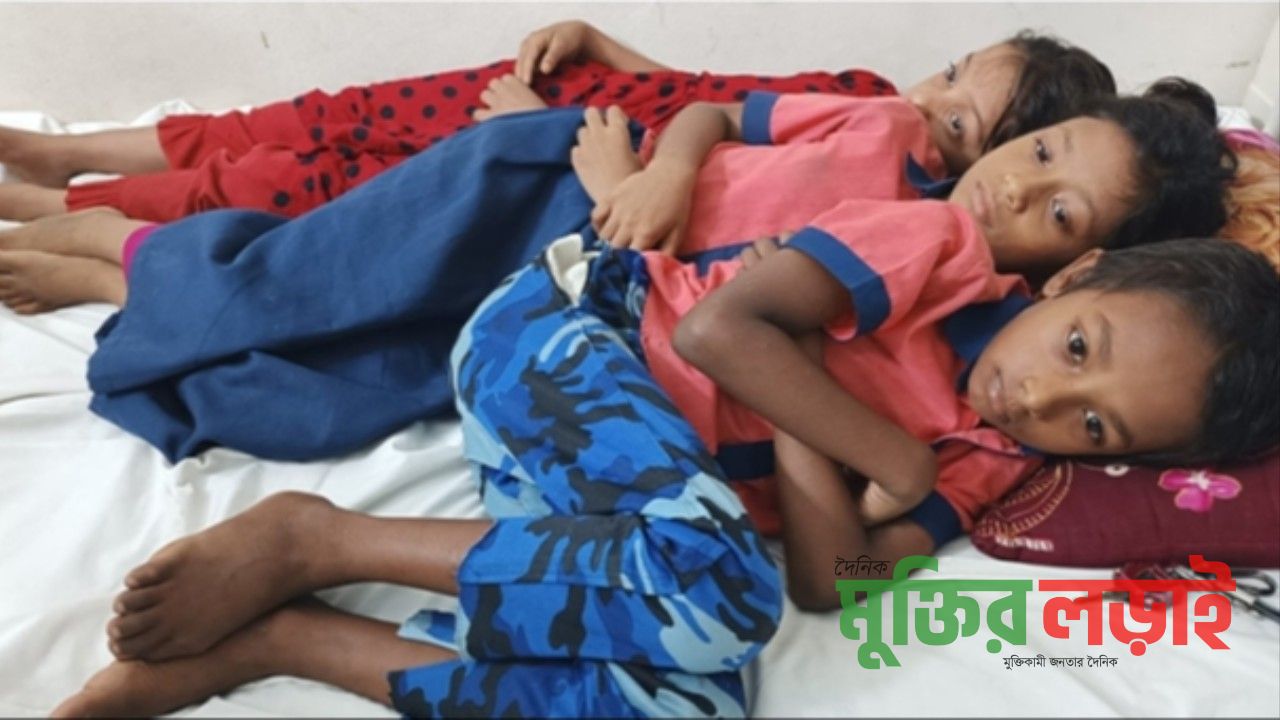 শরণখোলায় স্কুল ফিডিংয়ের খাবারের ডিম খেয়ে ১১ শিক্ষার্থী হাসপাতালে