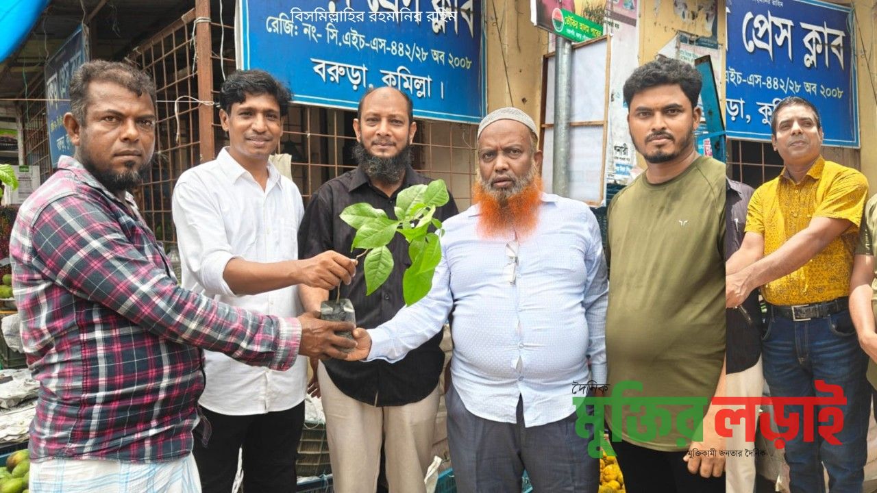 বরুড়া প্রেসক্লাবের উদ্যোগে পথচারীদের মাঝে গাছের চারা বিতরণ 