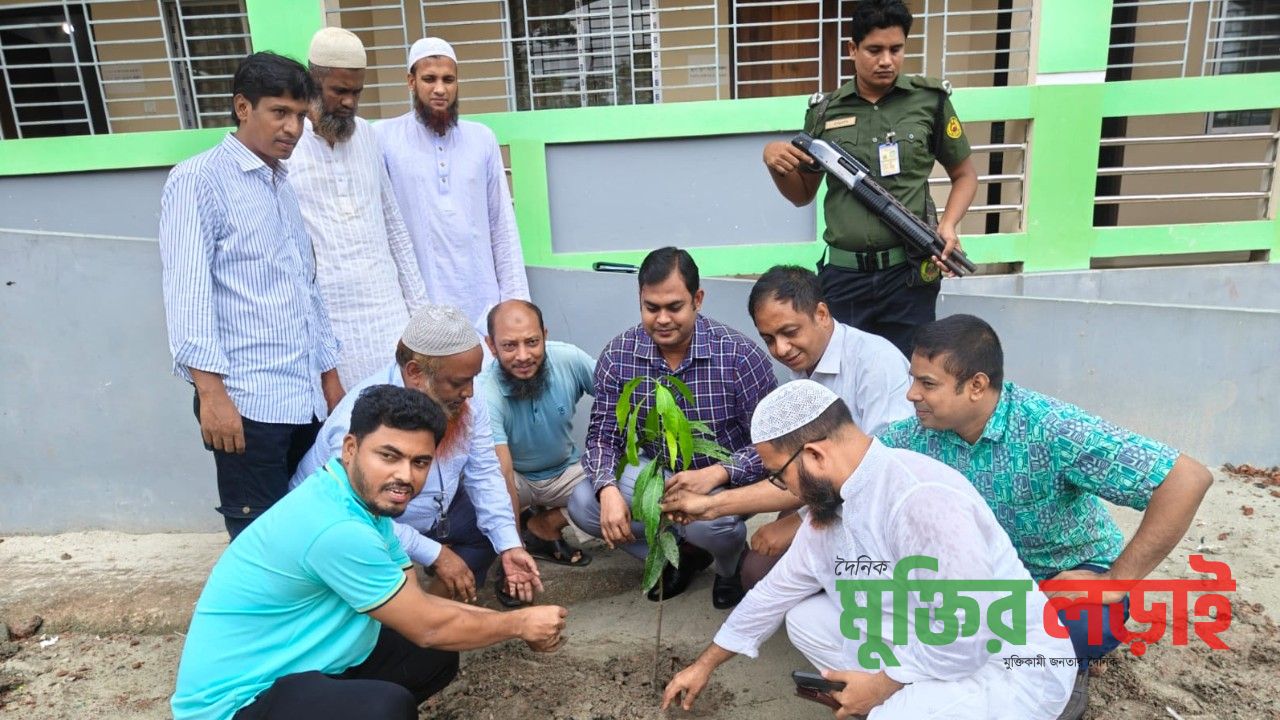 বরুড়া প্রেসক্লাবের উদ্যোগে বৃক্ষ রোপন কর্মসূচি দ্বিতীয় দিন 