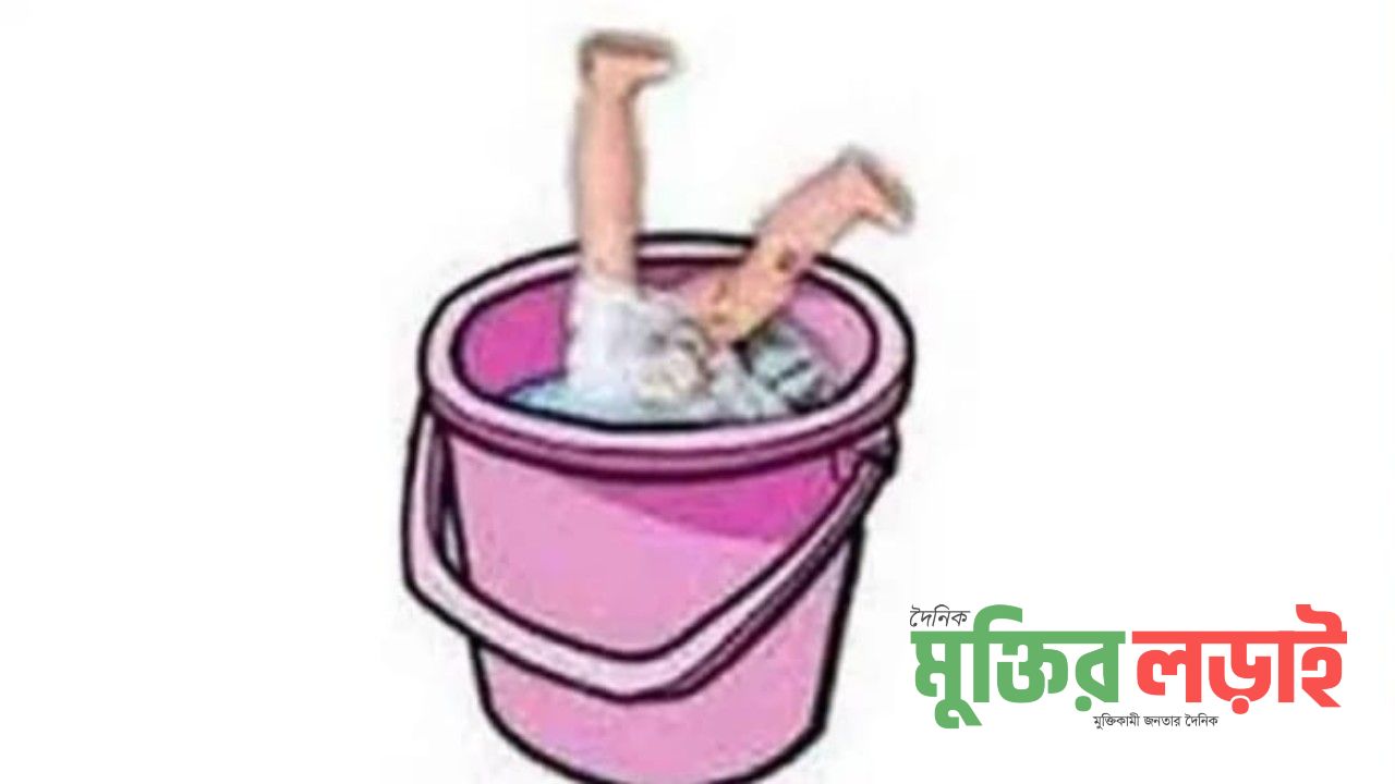 রাণীনগরে বালতির পানিতে ডুবে ২ বছরের শিশুর অকাল মৃত্যু