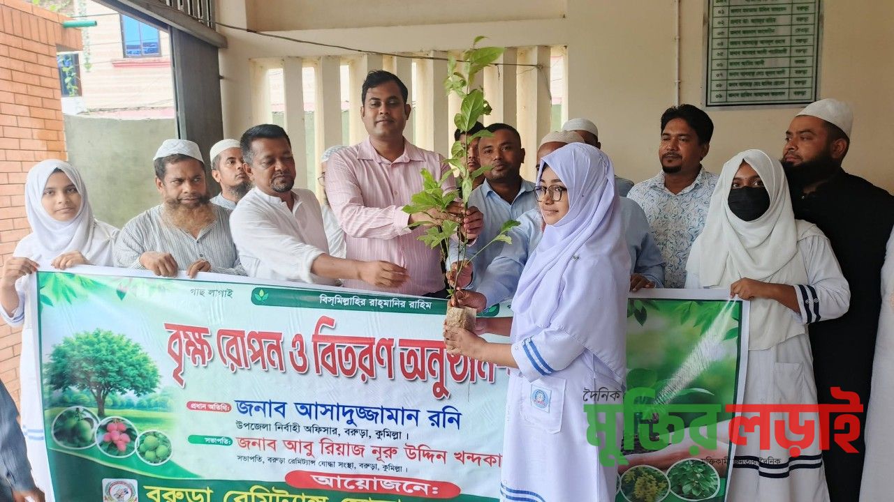 বরুড়ায় শিক্ষার্থীদের মাঝে রেমিট্যান্স যোদ্ধা সংস্থার ফলজ বৃক্ষ বিতরণ