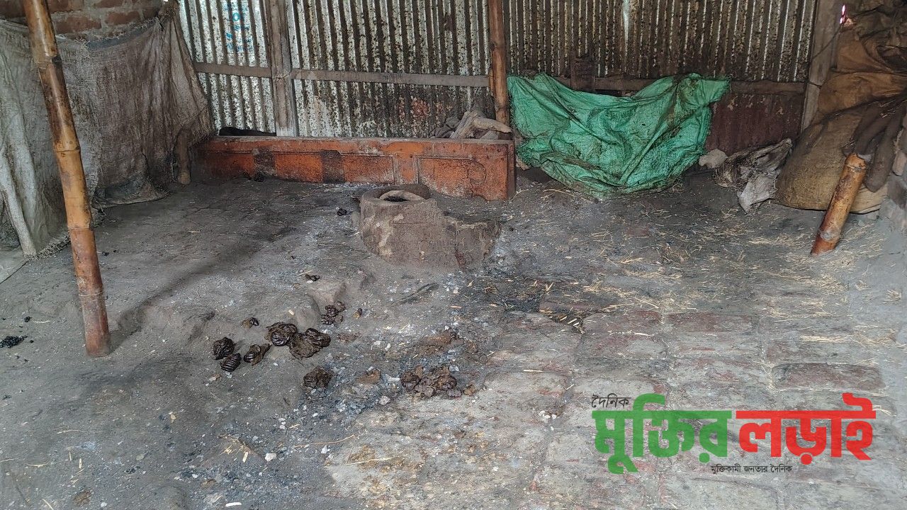 রাণীনগরে দিনমজুরের ৩টি গরু চুরি, দিশেহারা পরিবার 