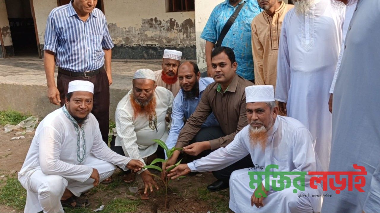 বরুড়ায় মানবসেবা সামাজিক সংগঠনের পক্ষ থেকে দুই শতাধিক বৃক্ষ বিতরণ