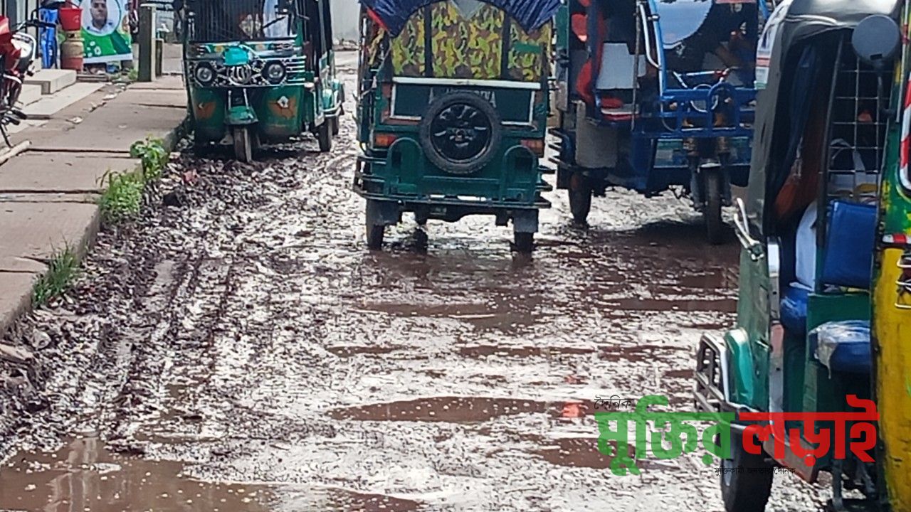 কচুয়া -তেতৈয়া সড়ক পচা মাছের আঁশের মত ক্ষয়ে ক্ষয়ে চলাচলের অযোগ্য