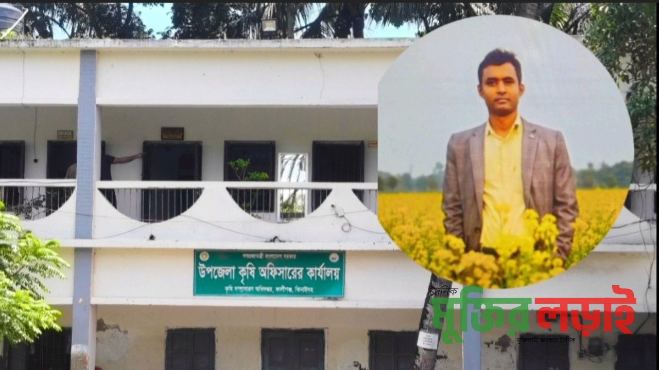 কালীগঞ্জে সার সংকটে বিপাকে কৃষক 