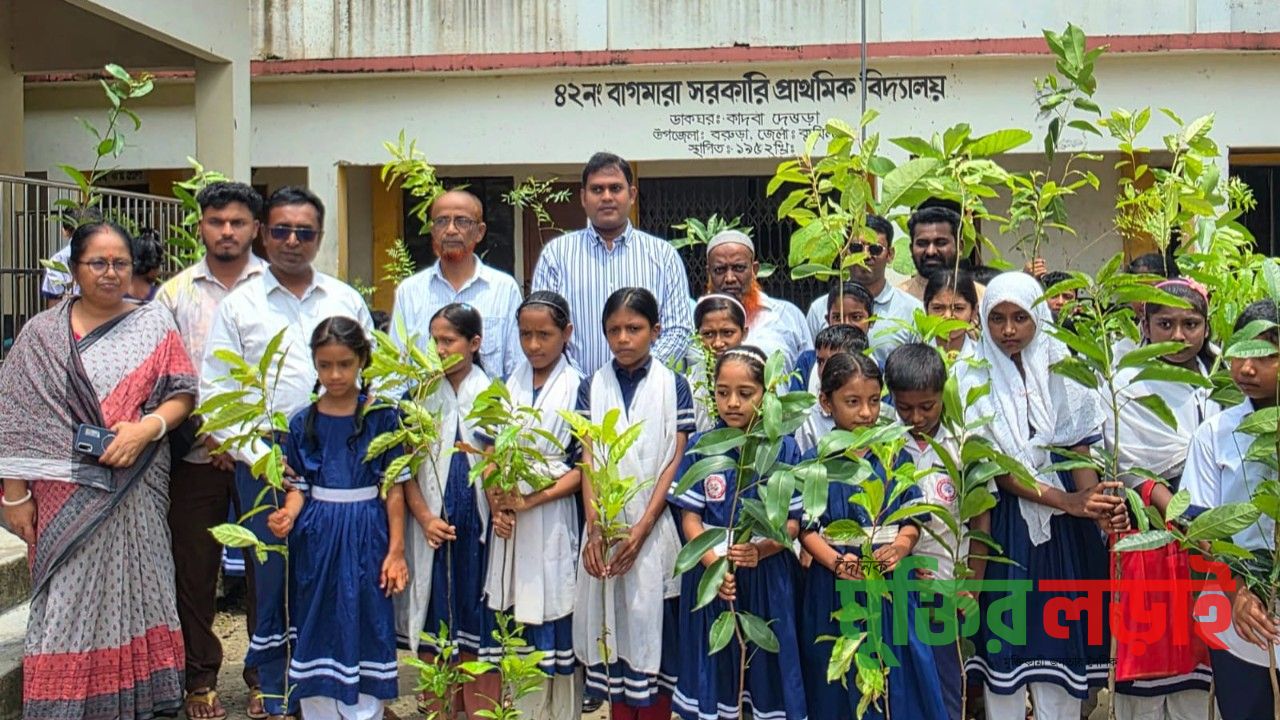 বরুড়া তারুণ্য যুব সংগঠন কর্তৃক বৃক্ষরোপণ কর্মসূচি অনুষ্ঠিত