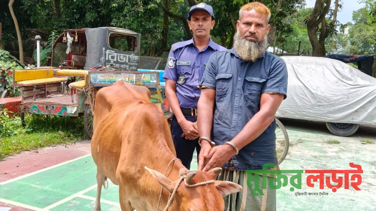 নওগাঁয় চোরাই গরুসহ চোর গ্রেপ্তার