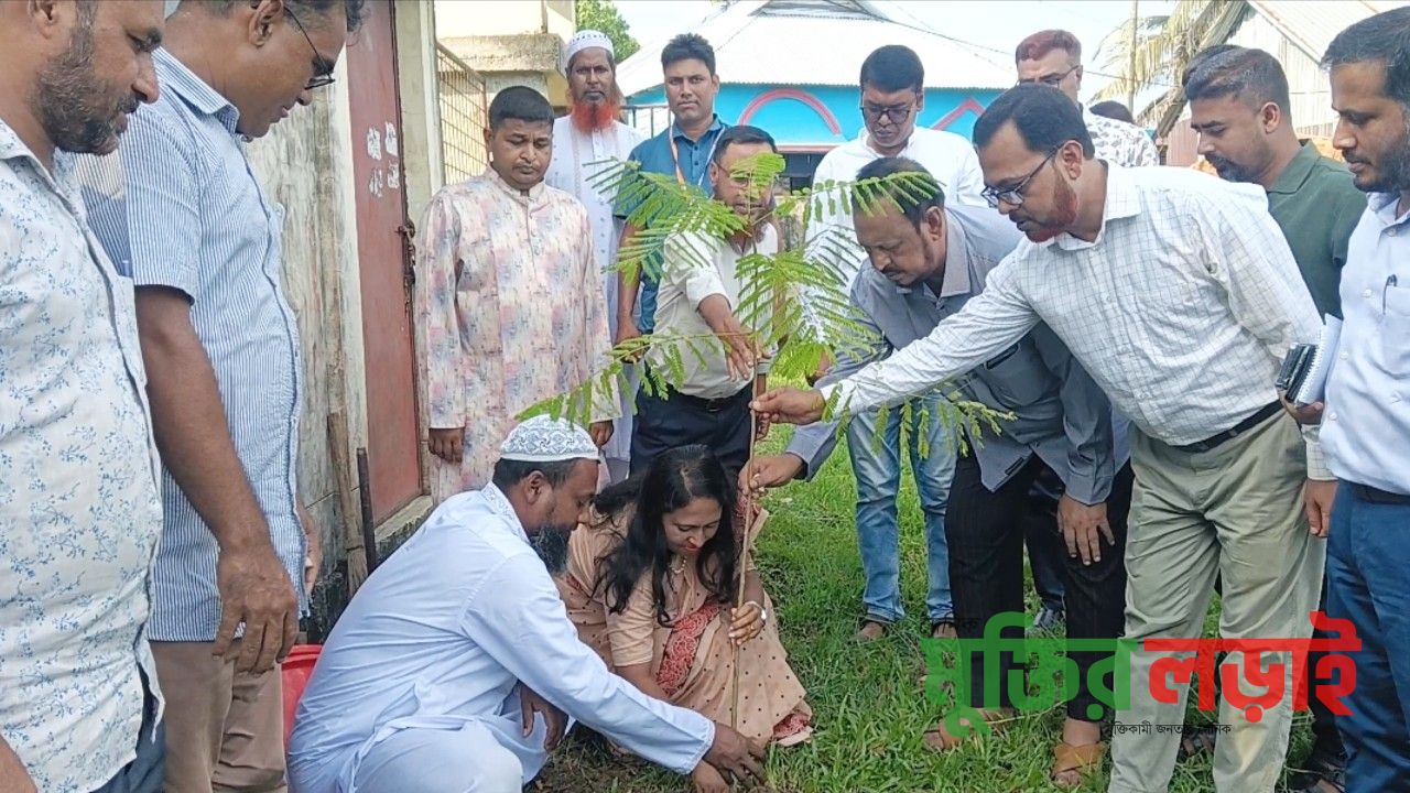 ঝিনাইগাতীতে ক্ষুদ্র নৃগোষ্ঠীর মাঝে চারা বিতরণ