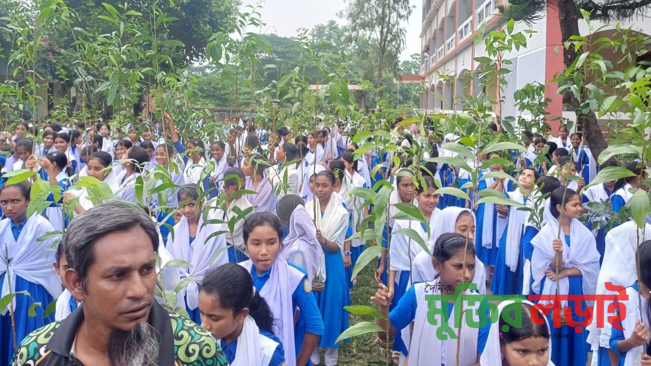চাঁদপুরে তিন শিক্ষা প্রতিষ্ঠানে চারা গাছ বিতরণ