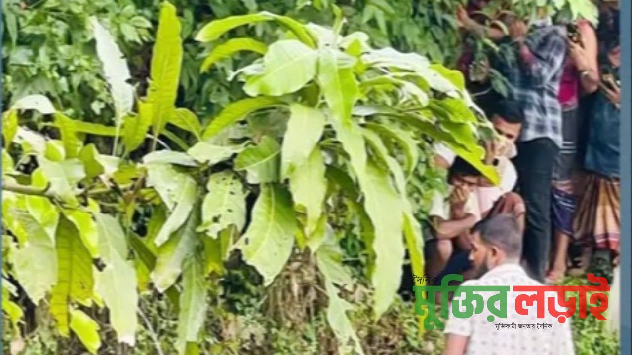 বরুড়ায় ফসলি জমিতে পুঁতে রাখা অজ্ঞাত নারীর মরদেহ উদ্ধার