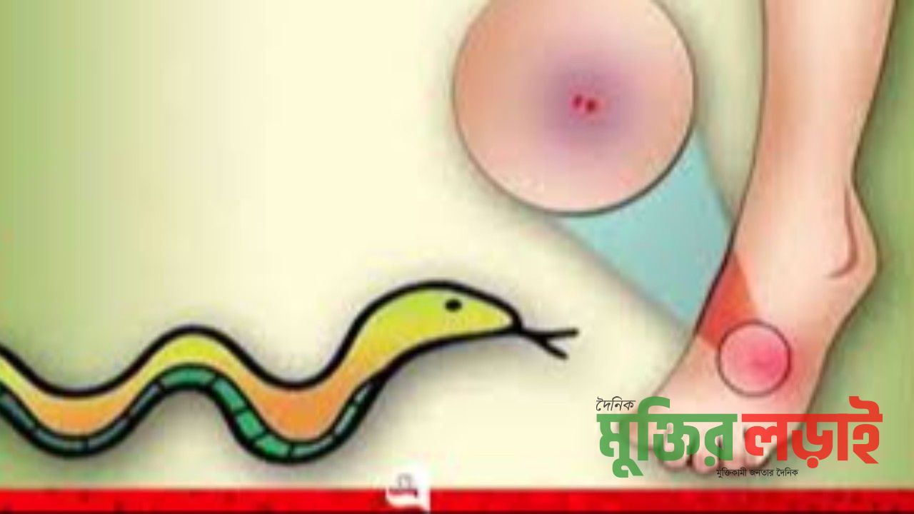 শৈলকুপায় সাপের কামড়ে শিশুর মৃত্যু