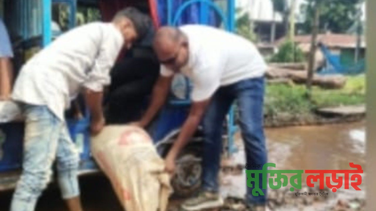 চাঁদপুর বাবুরহাট মডেল টাউন সড়কে বিএনপি নেতার নিজ অর্থায়নে সংস্কার