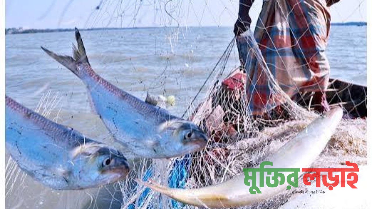 মা ইলিশ সংরক্ষণ ২২ দিনের অবরেধ