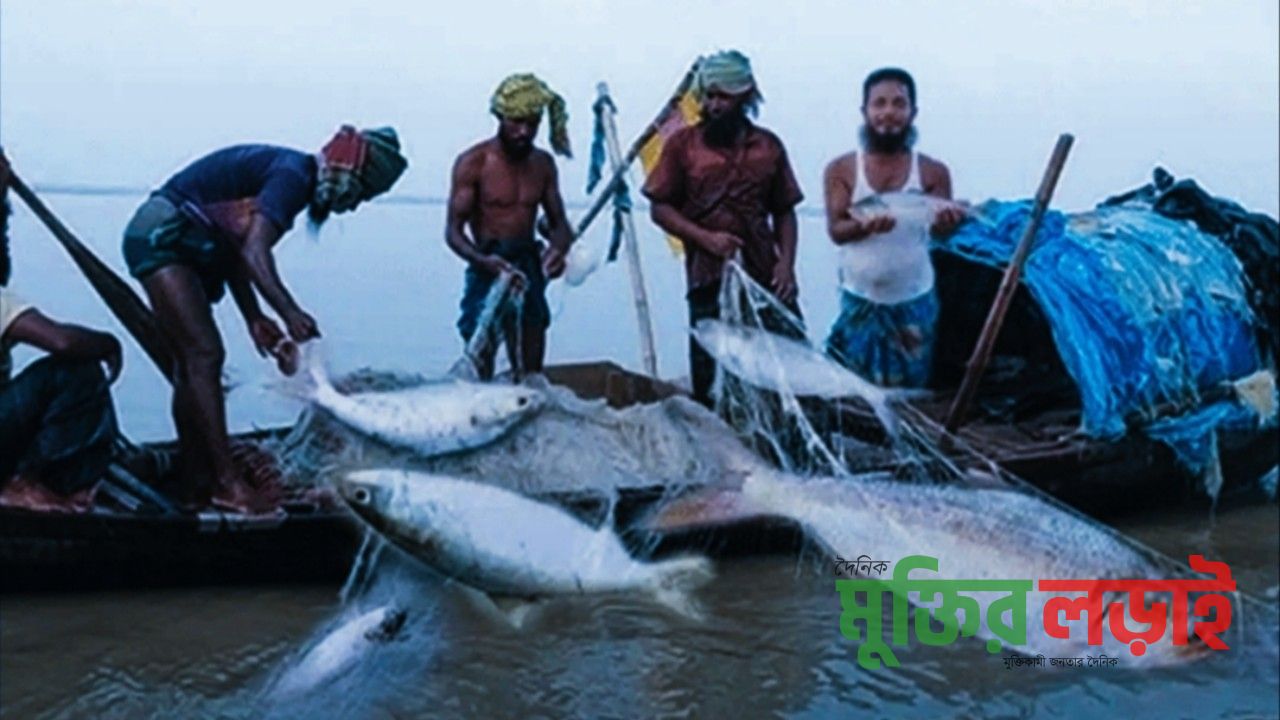  মা ইলিশ রক্ষায় মধ্যরাত থেকে মাছ ধরায় ২২ দিনের নিষেধাজ্ঞা