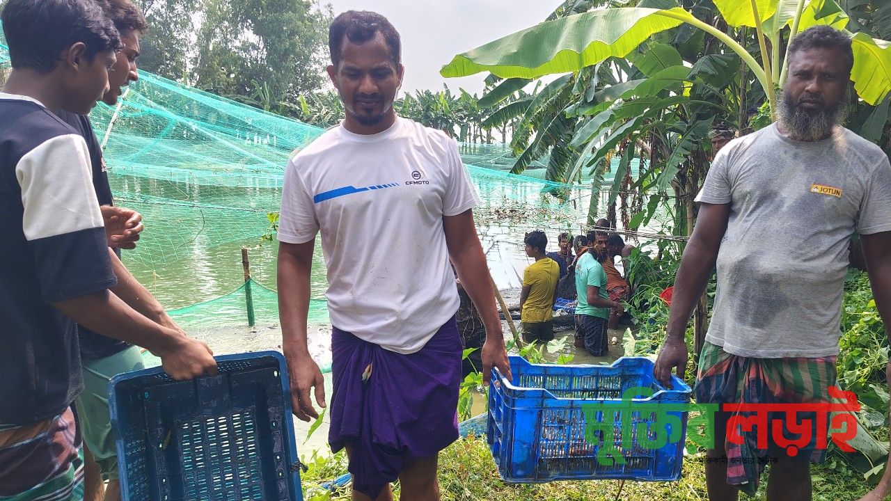রাণীনগরে পুকুরে বিষ প্রয়োগের অভিযোগ