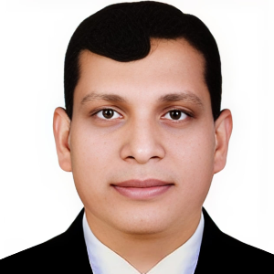 ফয়জুল ইসলাম পলাশ